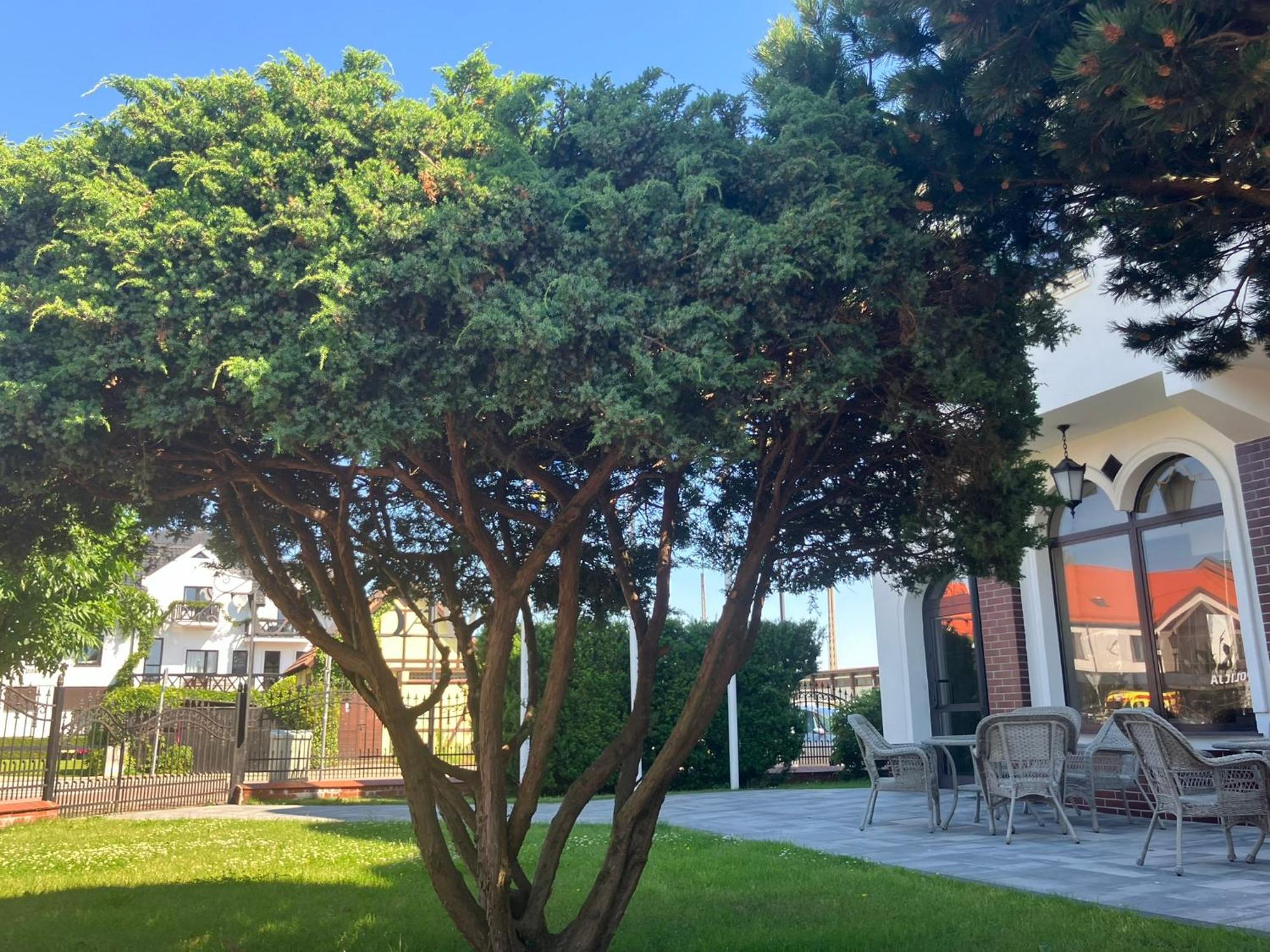 웨바 Osrodek Wczasowy Magnat B&B 외부 사진